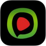 西瓜播放器app官方下载手机版
